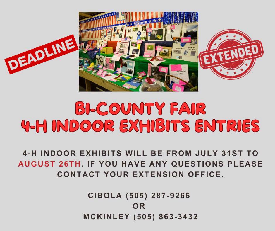 Indoor exhibits McKinley Bicounty Fair 2026